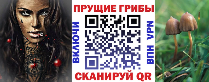 Галлюциногенные грибы Psilocybe  Томмот 
